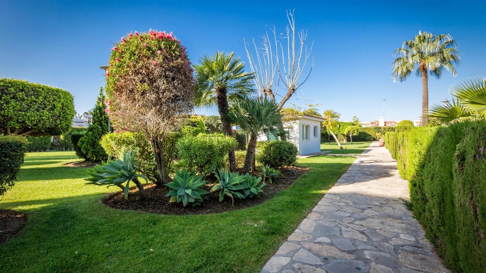 200M From The Beach Apartment San Pedro Marbella 0*,  İspanya